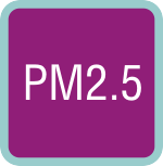 PM2.5 Particulate Matter